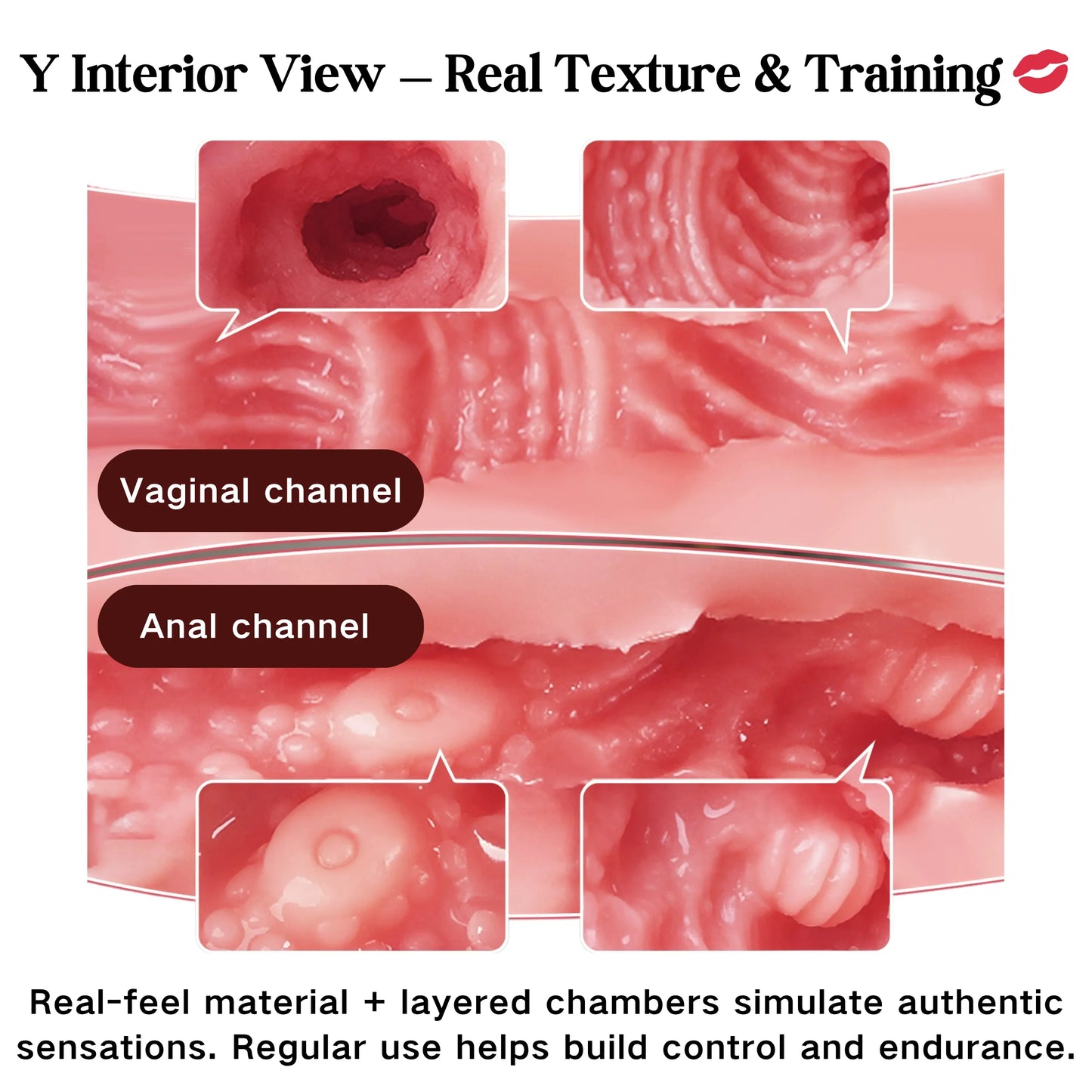 Realistic Asian Woman Torso – Life-Size Female Hip