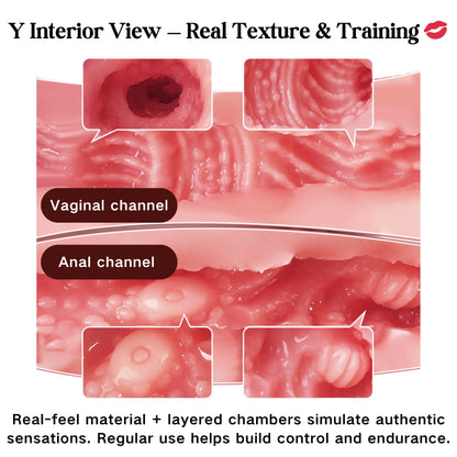 Realistic Asian Woman Torso – Life-Size Female Hip